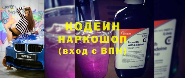 молекула духа Волосово