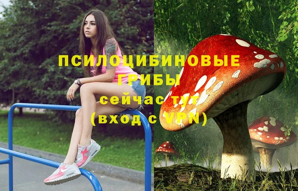 крисы Вяземский
