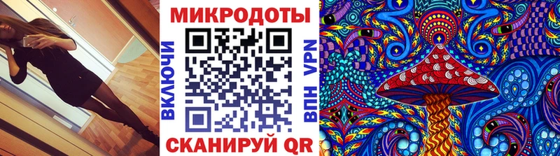 Купить где  Александровское  Псилоцибиновые грибы мицелий 